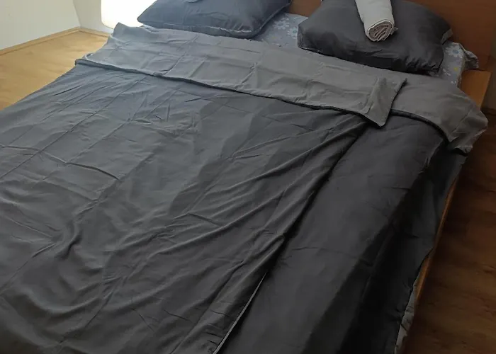 The White House Zr Beçkerek